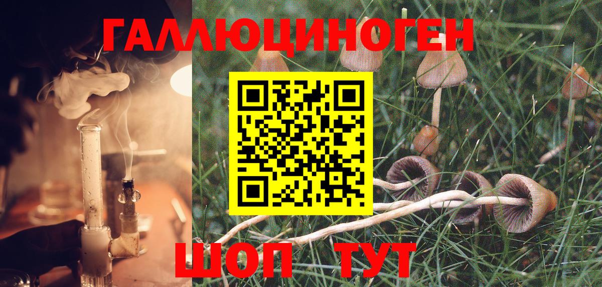 Псилоцибиновые грибы Magic Shrooms  даркнет сайт  Унеча  Вход с VPN 